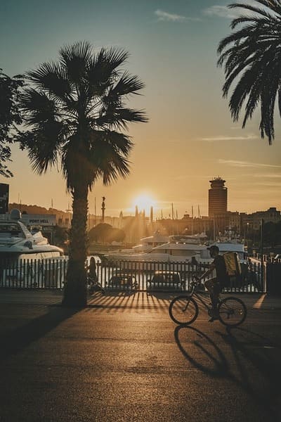 Sunset at the port