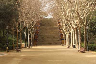 Stairs of Montjuïc