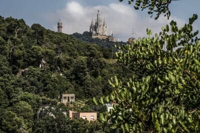 Views of Collserola