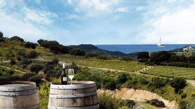 wine experience barcelona