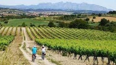 best wine tasting barcelona