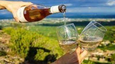 wine tour barcelona