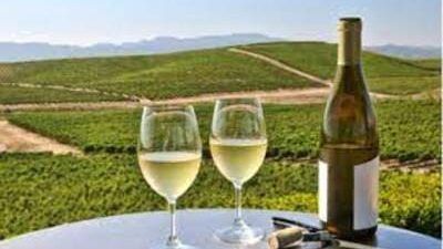 wine tasting barcelona